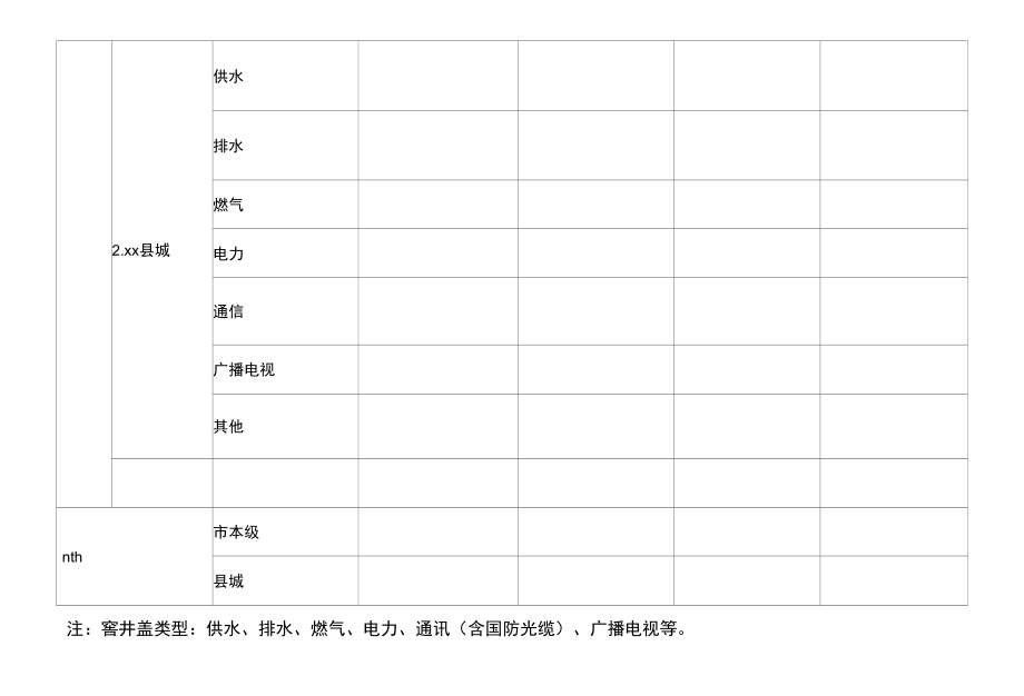 城市窨井盖问题治理专项整治排查表.docx_第2页