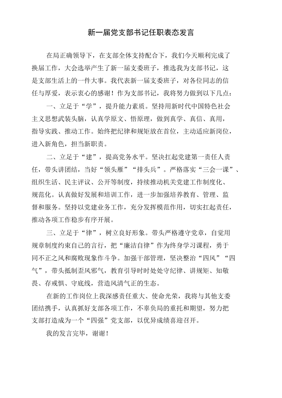 新一届党支部书记任职表态发言.docx_第1页