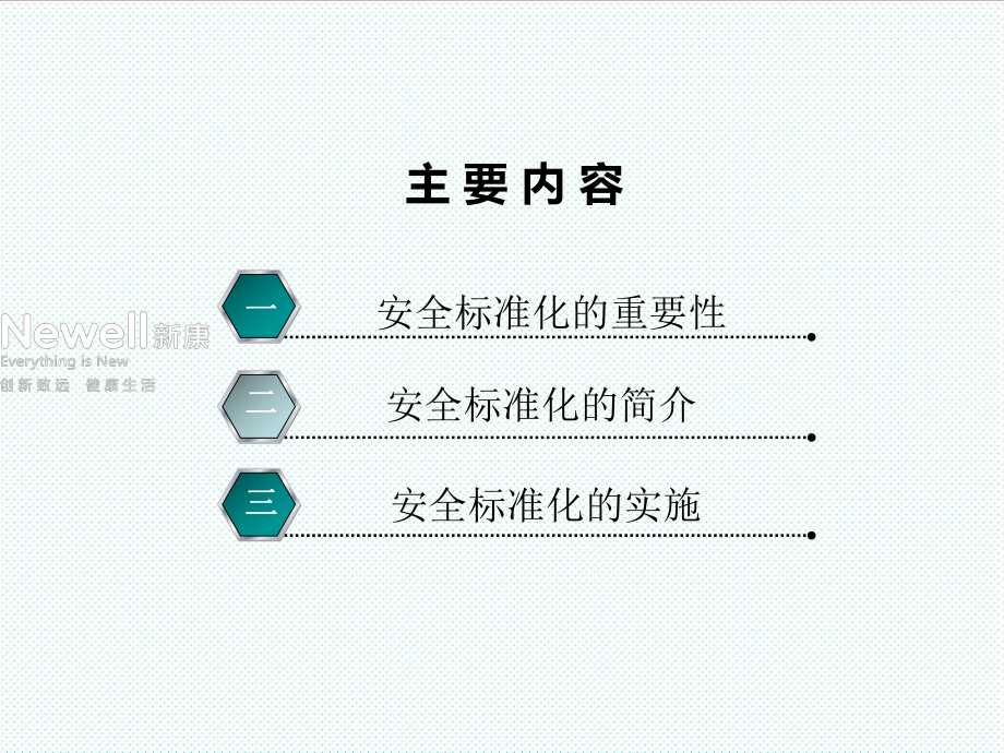 管理制度-X年安全标准化介绍及意义 精品.ppt_第2页