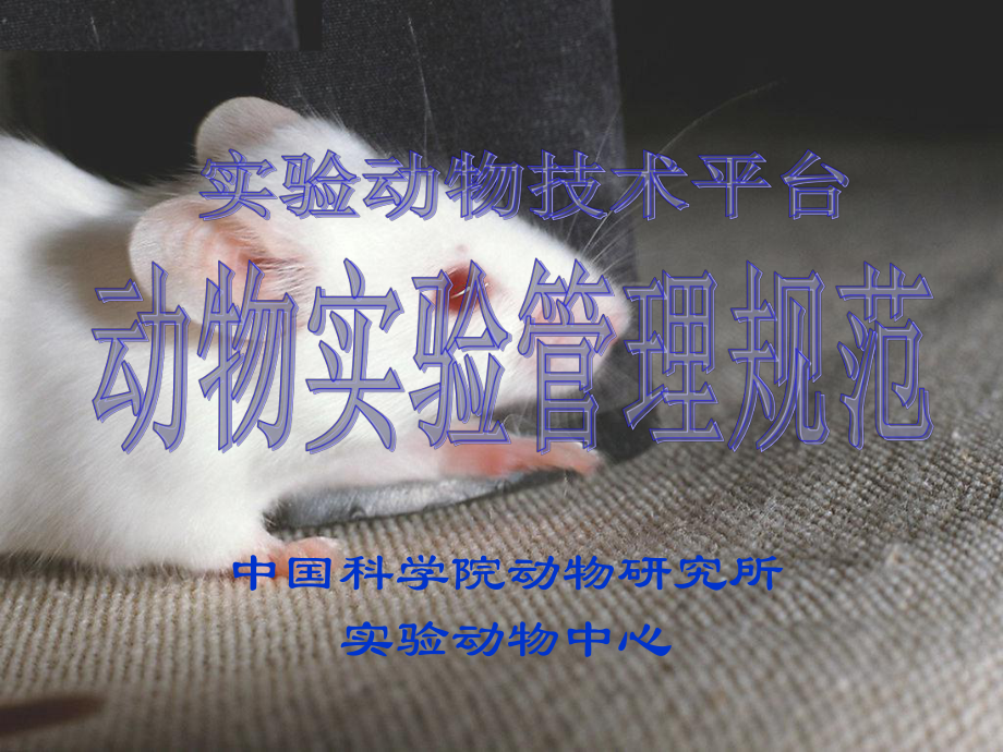 管理制度-动物实验管理规范培训 精品.ppt_第1页