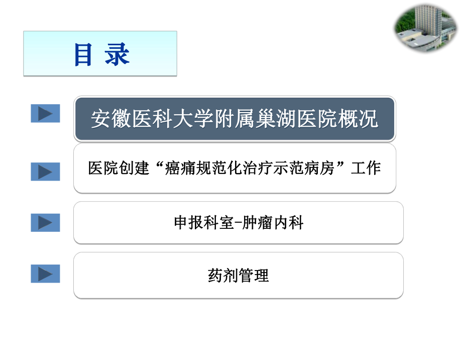 管理制度-巢湖医院癌痛规范化治疗示范病房创建工作汇报 精品.ppt_第3页