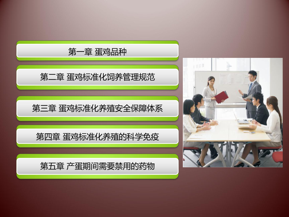 管理制度-蛋鸡标准化管理 精品.ppt_第2页