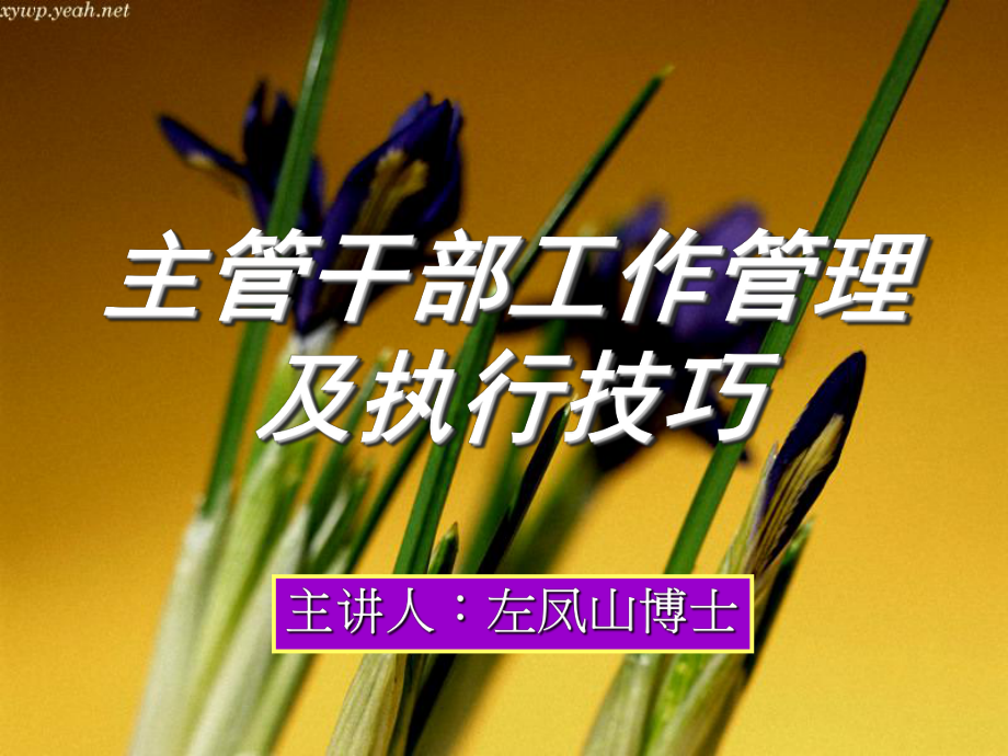 中层管理-中阶主管干部工作管理及执行技巧 精品.ppt_第1页