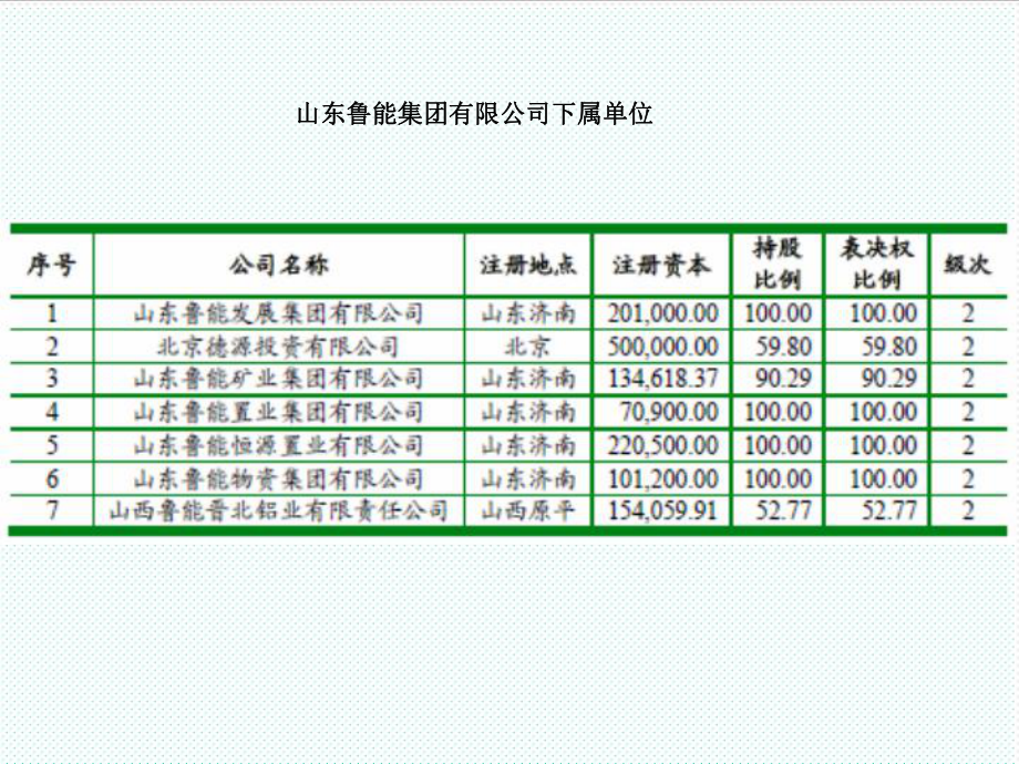 中层管理-山东鲁能集团有限公司下属单位 精品.ppt_第2页