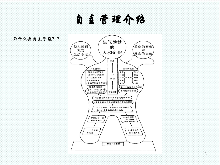 中层管理-自主管理 精品.ppt_第3页