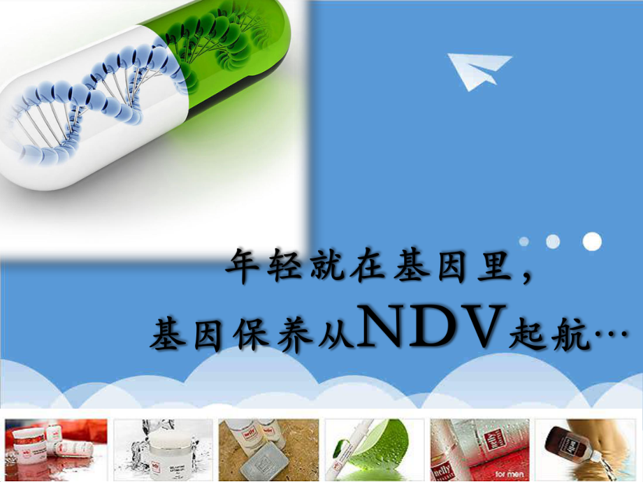 招商策划-NDV品牌招商会 精品.ppt_第1页