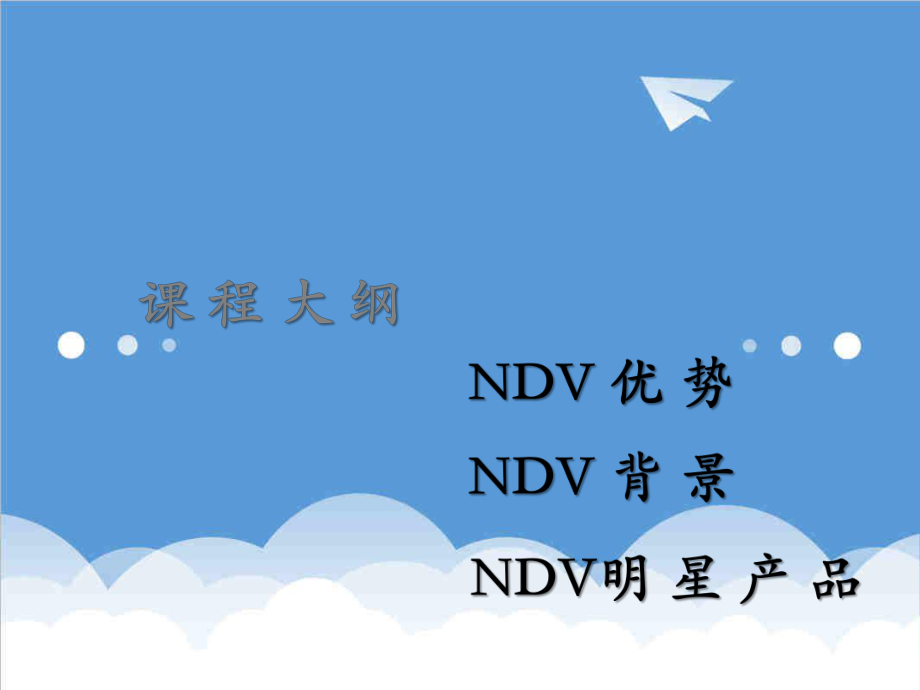 招商策划-NDV品牌招商会 精品.ppt_第2页