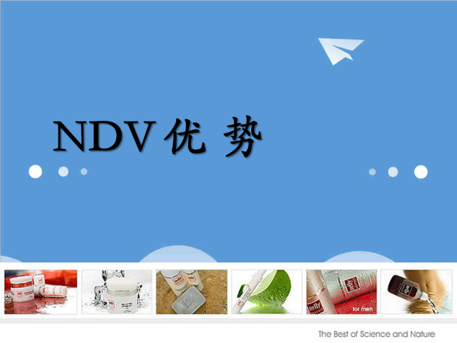 招商策划-NDV品牌招商会 精品.ppt_第3页