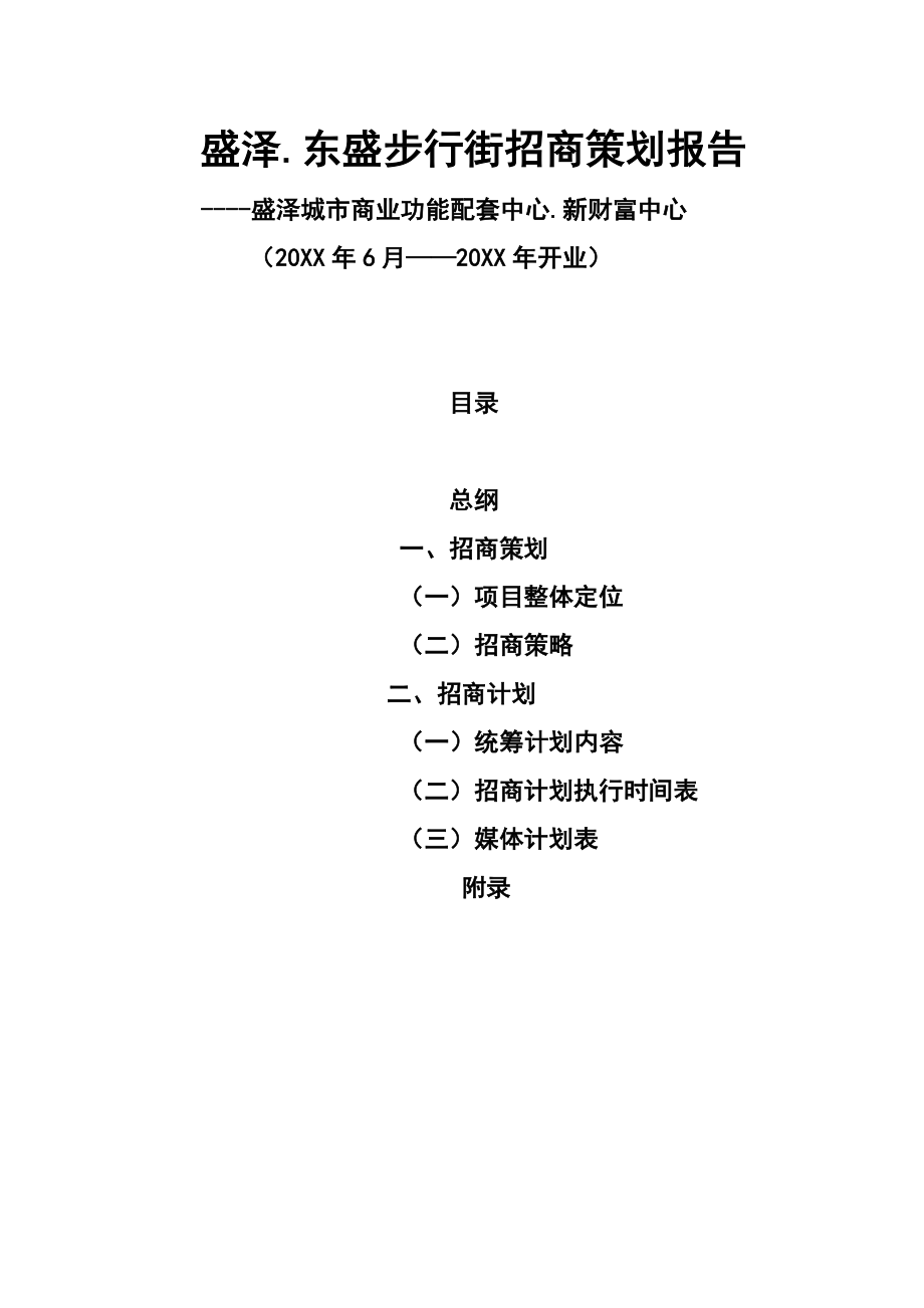 招商策划-090409工作物料完善东盛步行街招商计划书含示范文 精品.doc_第2页