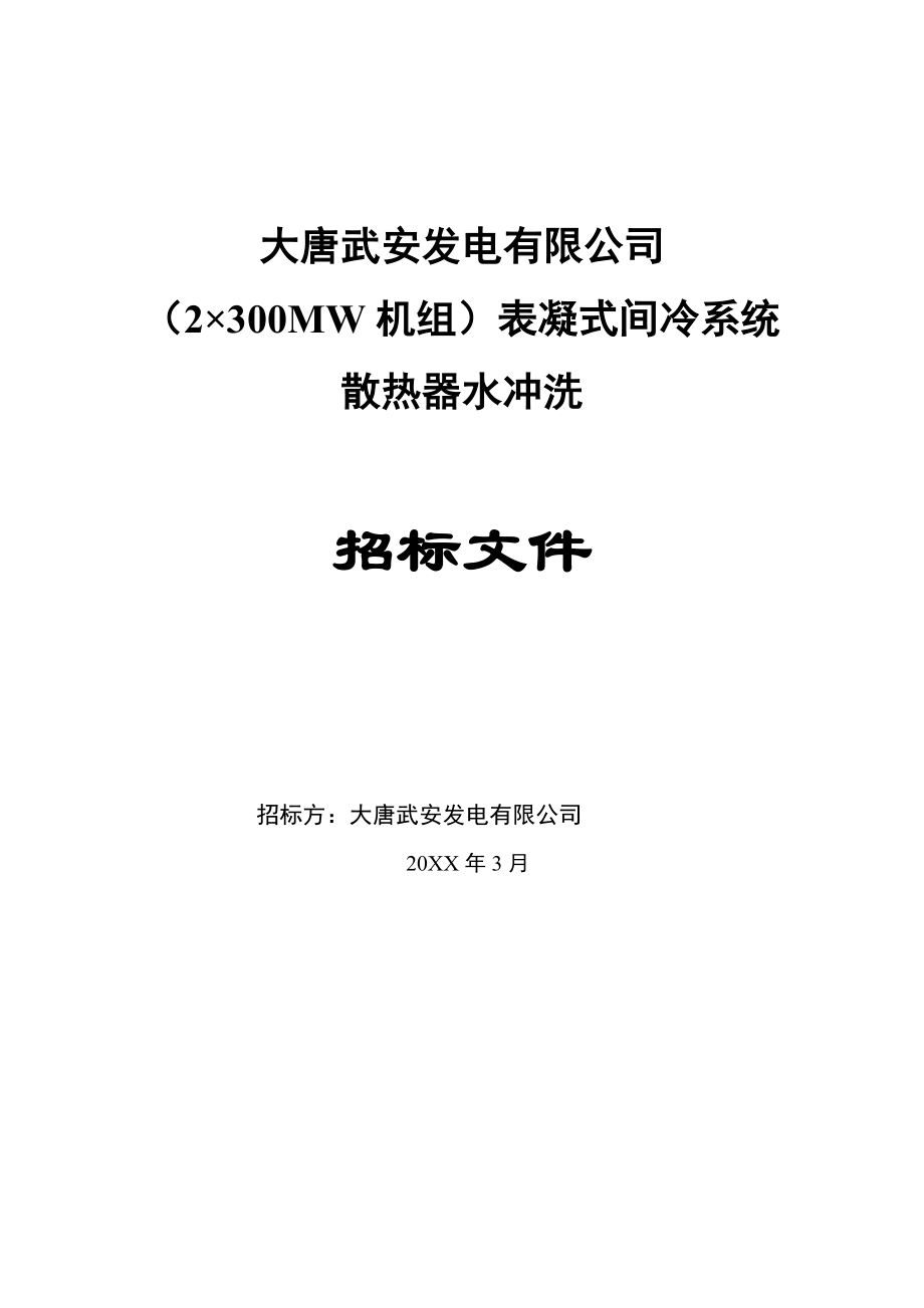 招标投标-XXXX年间冷塔冲洗招标文件 精品.doc_第1页