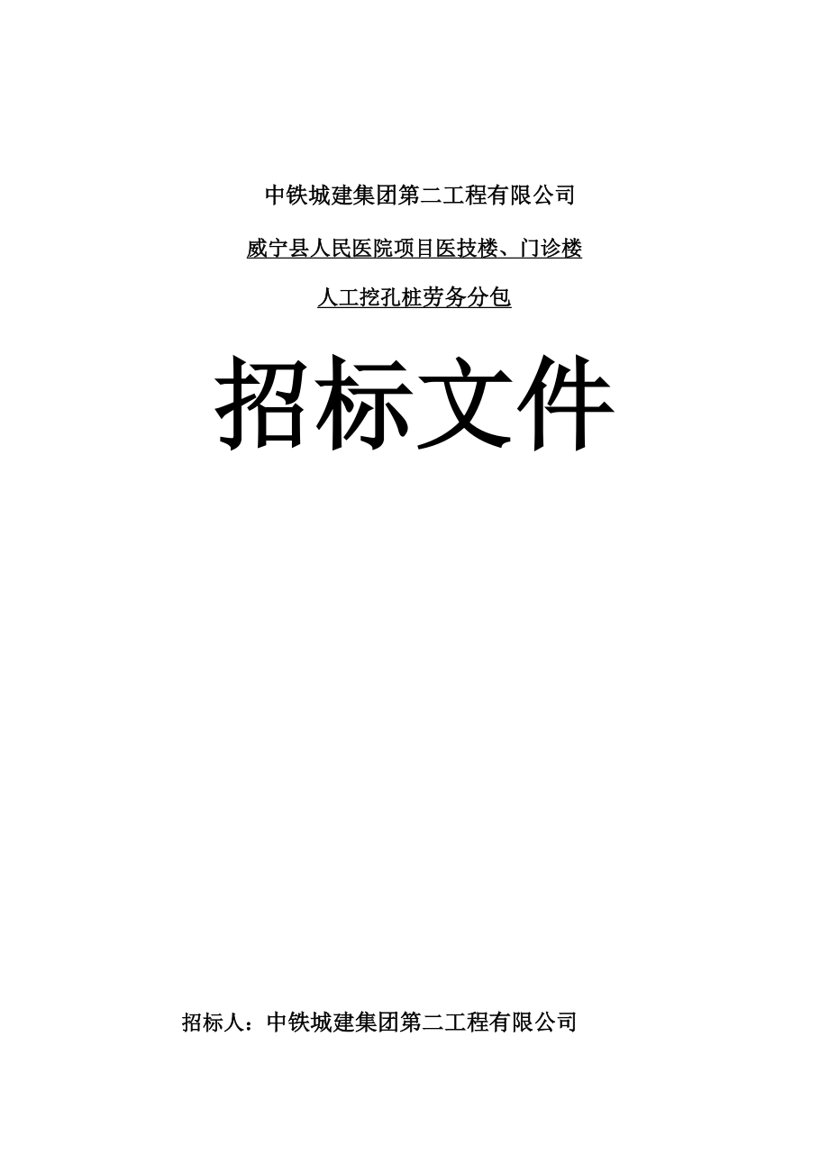 招标投标-医院桩基招标书 精品.docx_第1页