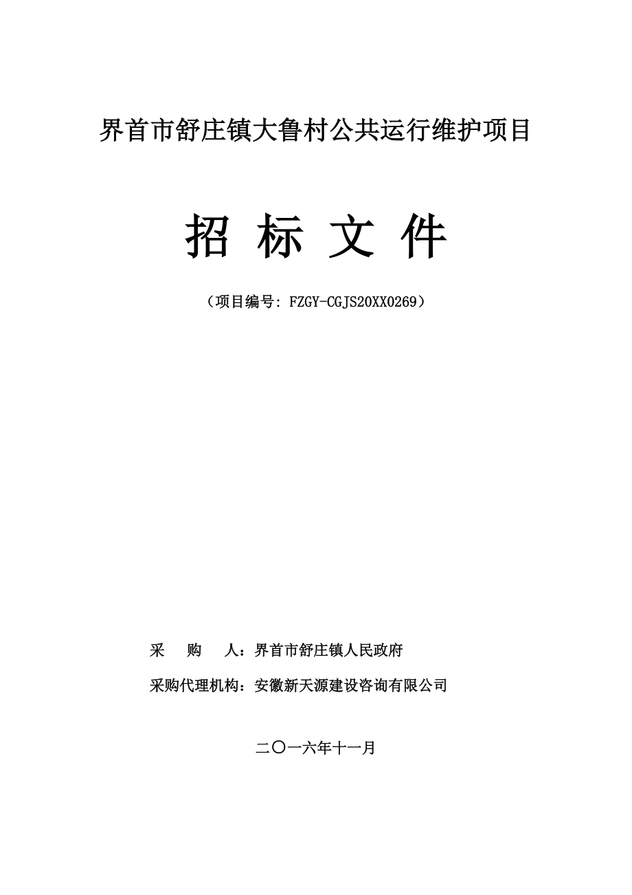 招标投标-公共运行维护项目招标文件 精品.doc_第1页