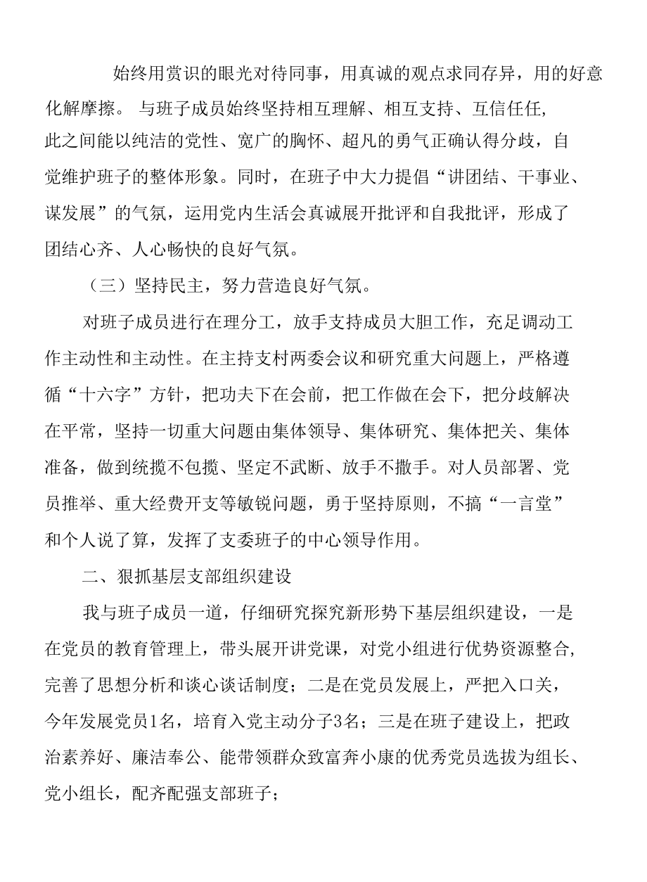 村党支部书记2021年抓基层党建工作述职报告.docx_第2页