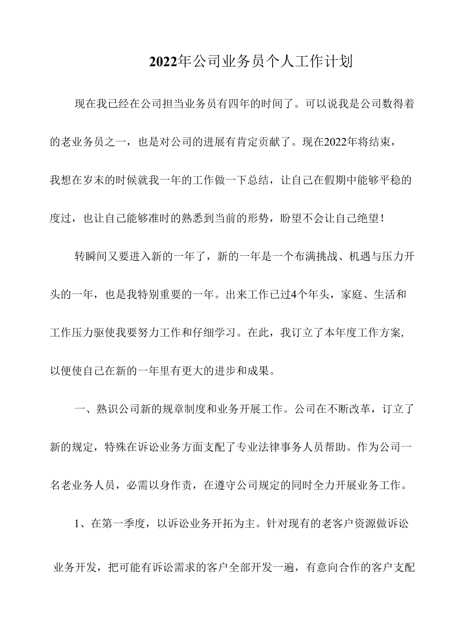 2022年公司业务员个人工作计划.docx_第1页