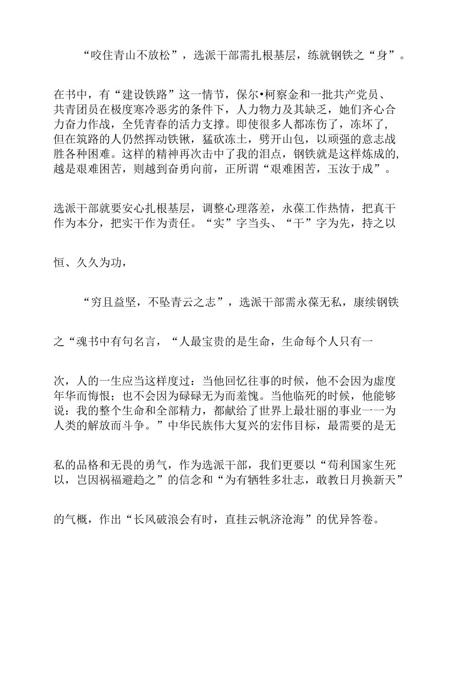 《钢铁是怎样炼成的》读书体会发言.docx_第2页