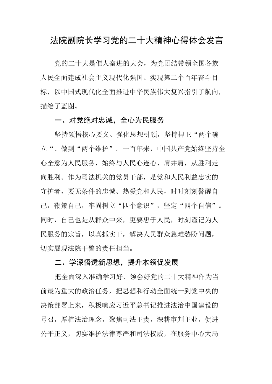 法院副院长学习党的二十次会大精神心得体会发言.docx_第1页