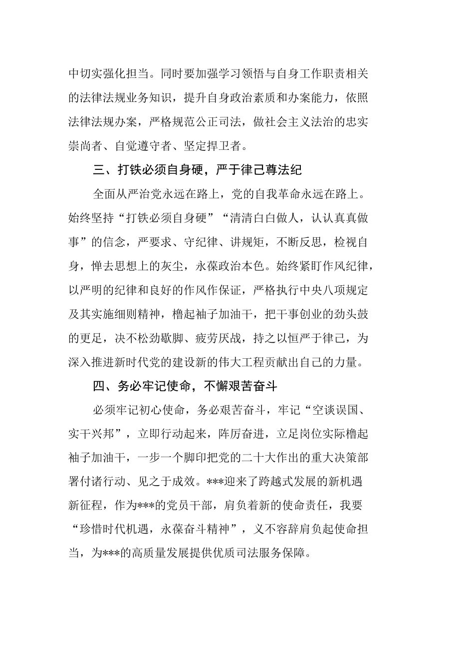 法院副院长学习党的二十次会大精神心得体会发言.docx_第2页