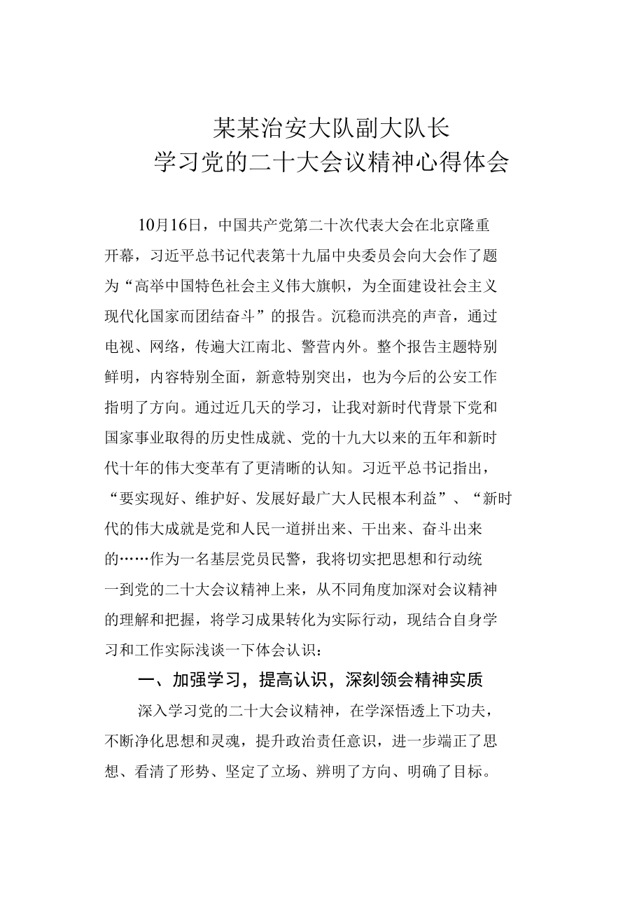 某某治安大队副大队长学习党的二十大会议精神心得体会.docx_第1页