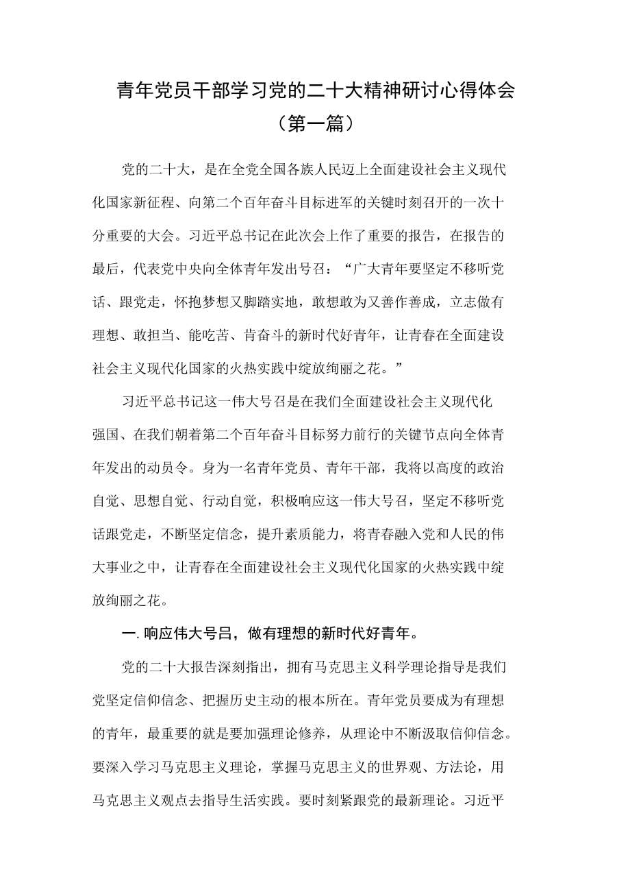 （2篇）青年党员干部学习党的二十次大会精神研讨心得体会.docx_第1页