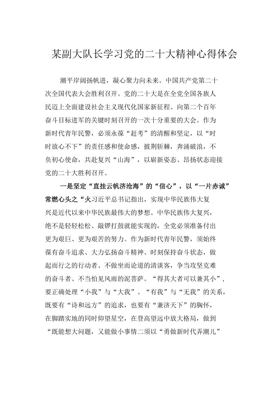 某副大队长学习党的二十大精神心得体会.docx_第1页