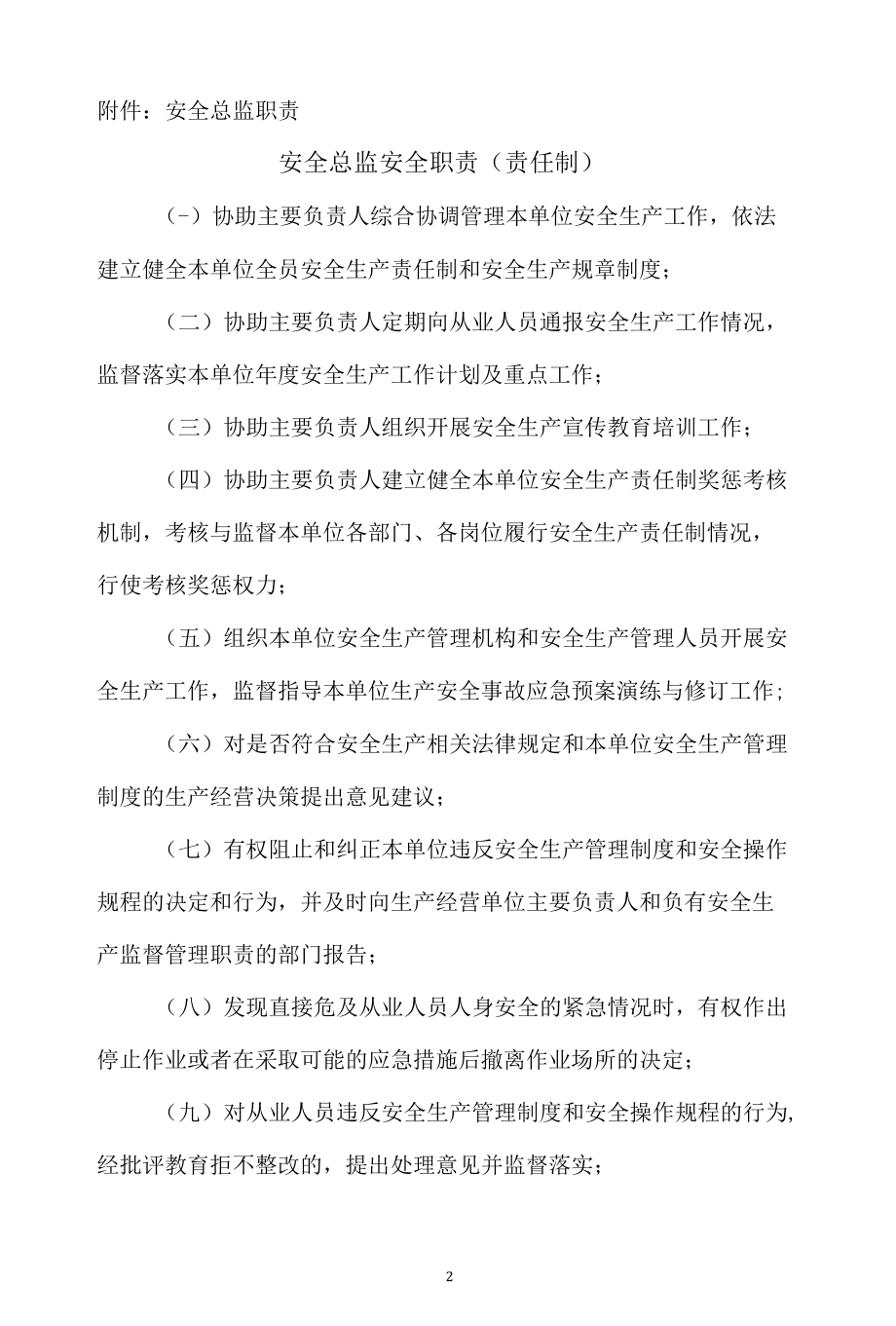 安全总监任命文件及安全职责（责任制）.docx_第2页