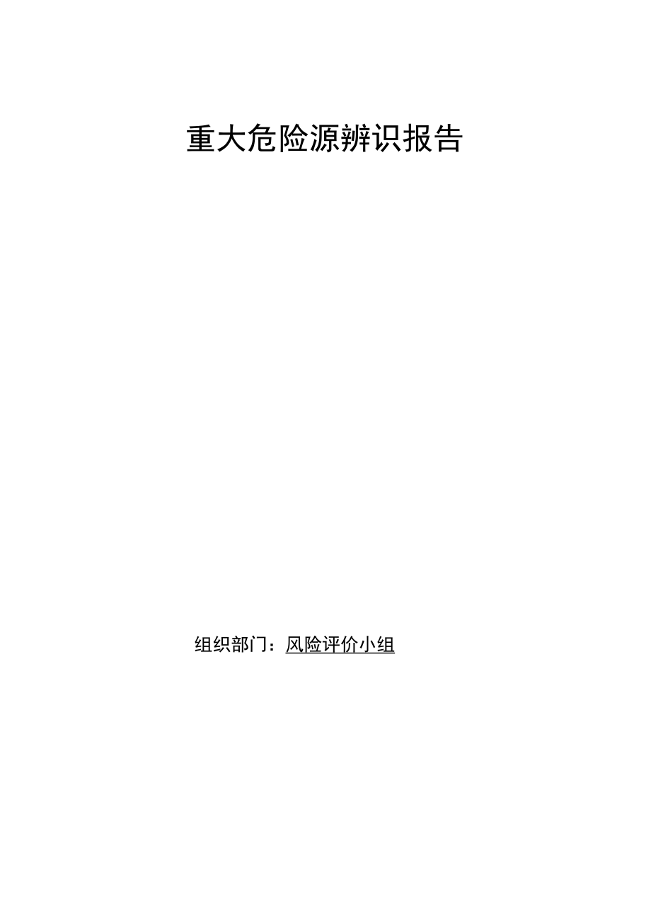 5、重大危险源辨识报告（无重大危险源物质单位）.docx_第1页