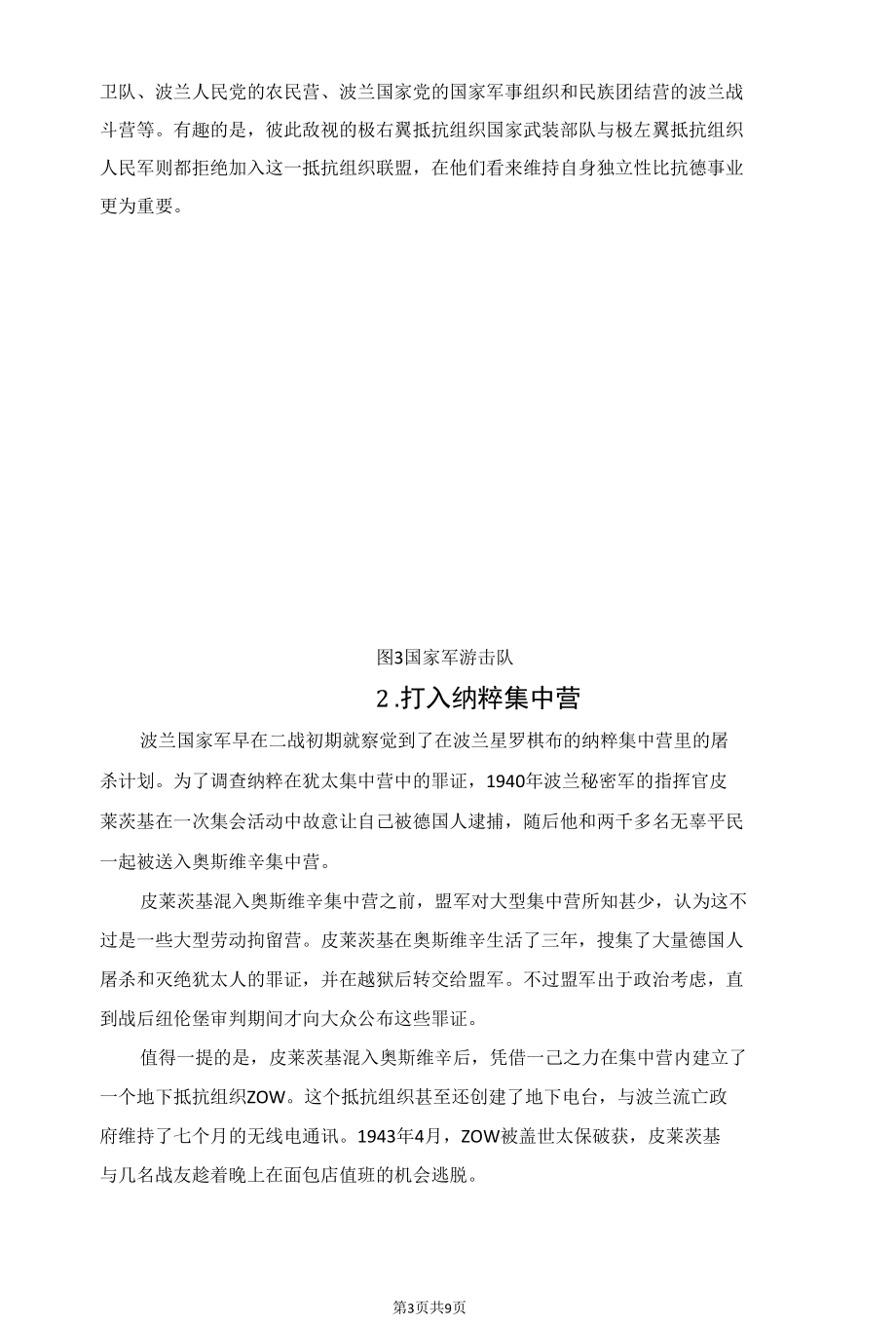 二战中的波兰军人打出了尊严.docx_第3页