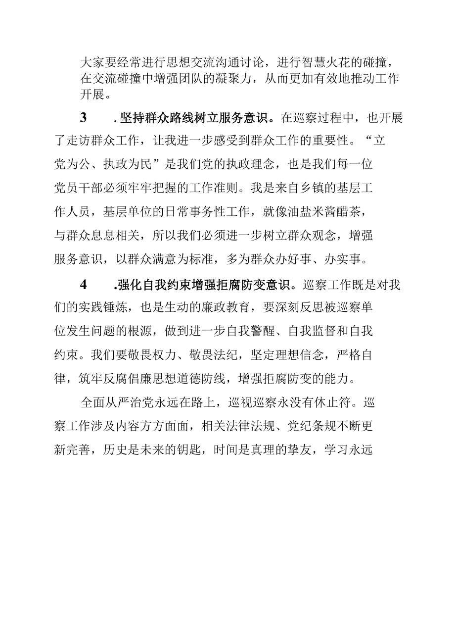 巡察工作交流会发言材料.docx_第2页