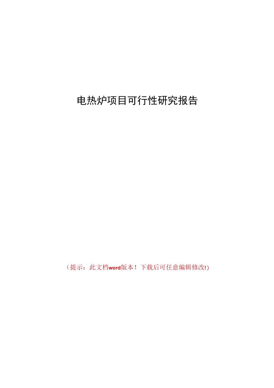 电热炉项目可行性研究报告.docx_第1页