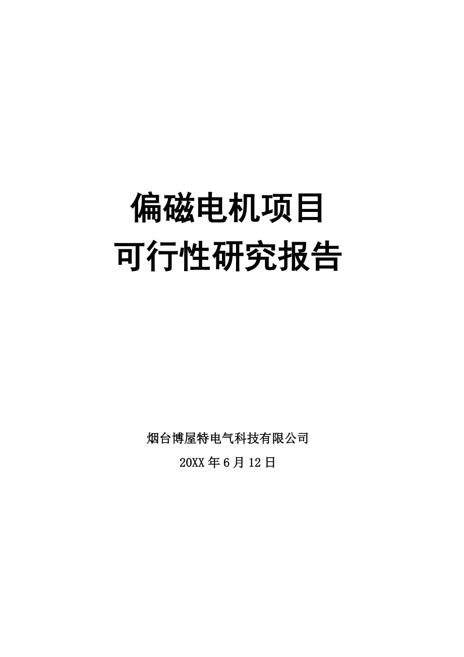 偏磁电机项目可行性研究报告0821.doc_第1页