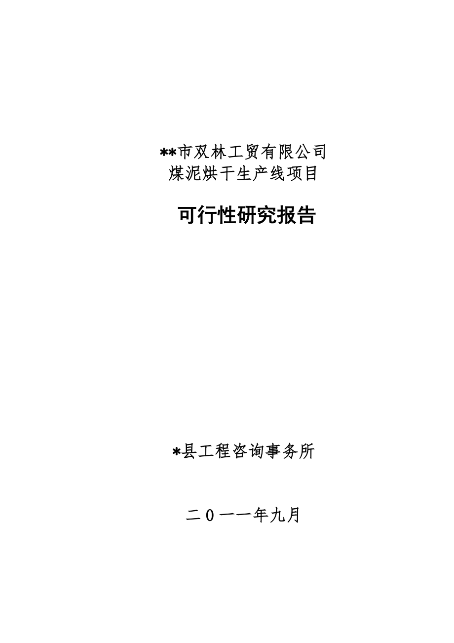 冶金行业-煤泥烘干生产线项目可行性研究报告.doc_第1页