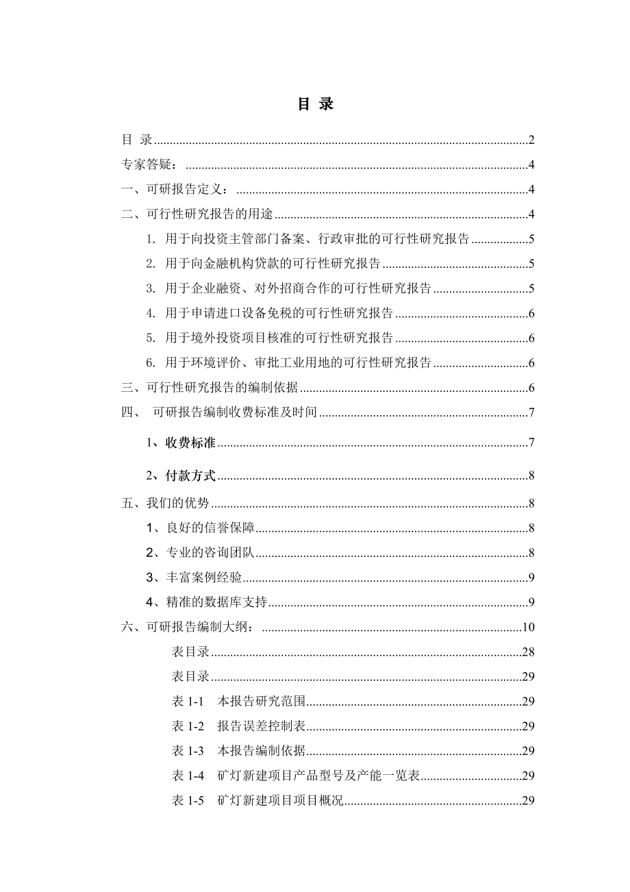 冶金行业-矿灯项目可行性研究报告.doc_第2页