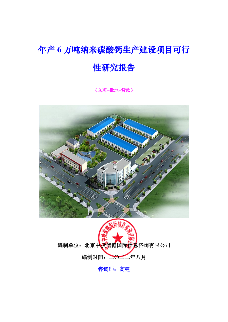 年产6万吨纳米碳酸钙生产建设项目可行性研究报告.doc_第1页