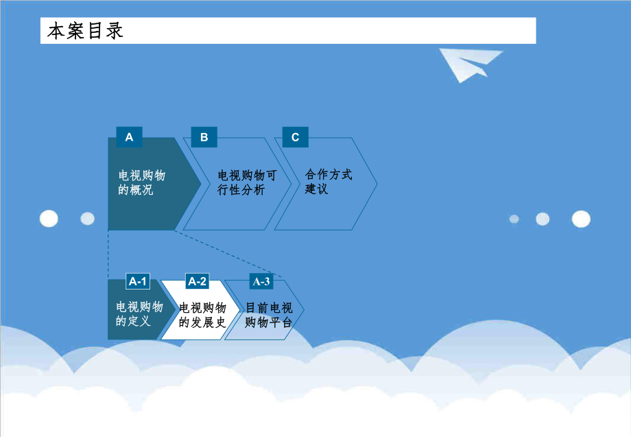 可行性报告-电视购物可行性研究报告.ppt_第2页