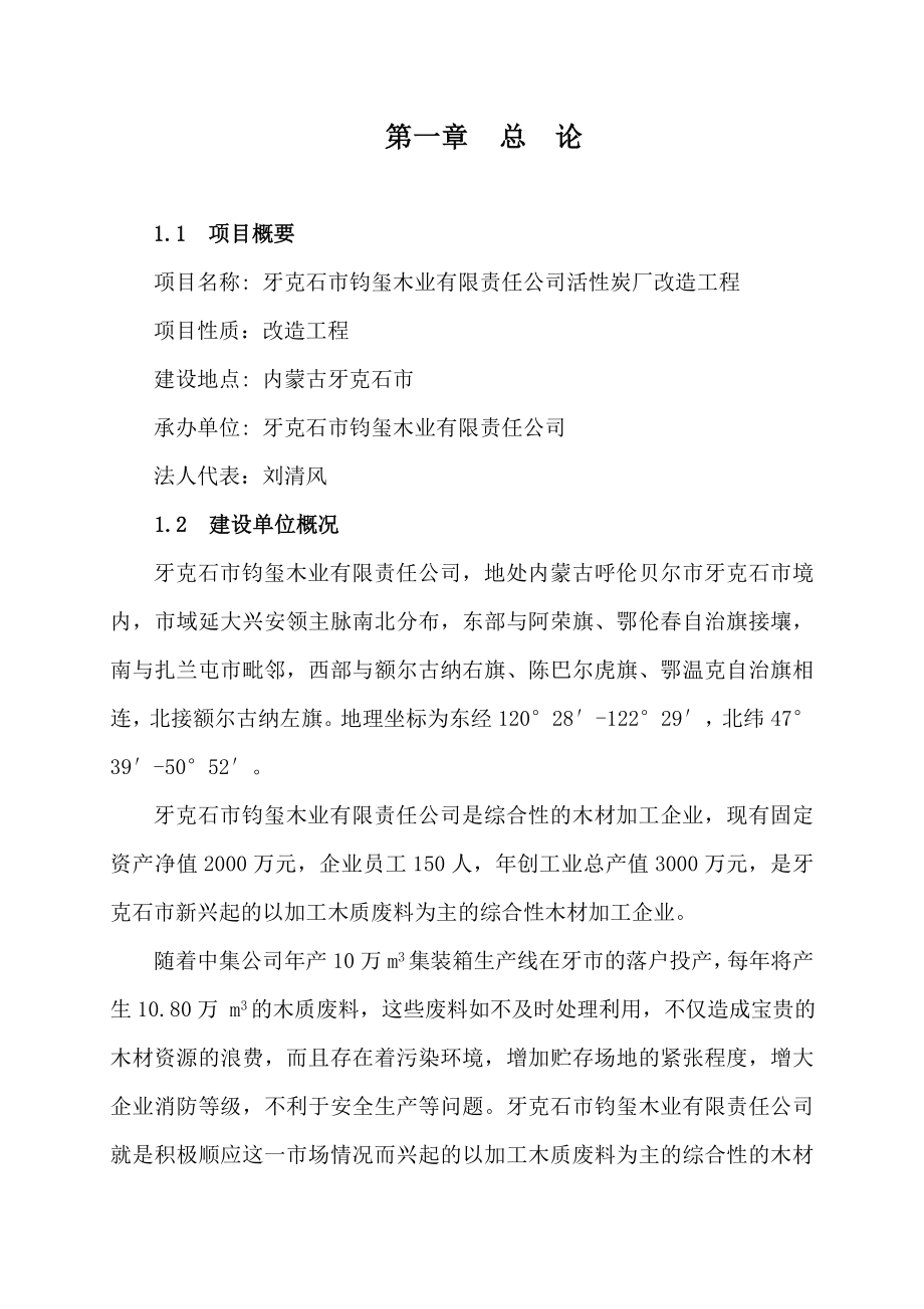 活性炭厂改造工程项目可行性研究报告.doc_第1页