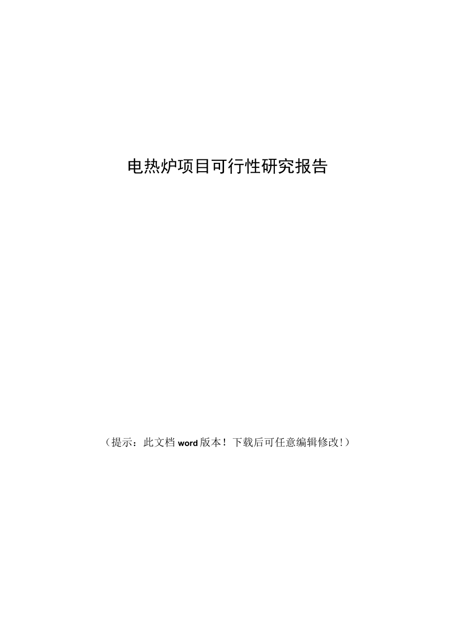 电热炉项目可行性研究报告.docx_第1页