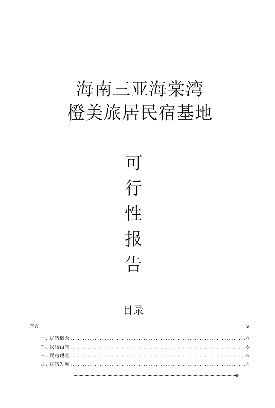 海南三亚民宿运营可行性报告最终版.docx_第1页