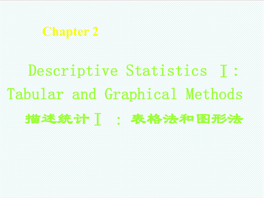 表格模板-2描述统计1：表格法和图形法 精品.ppt_第1页