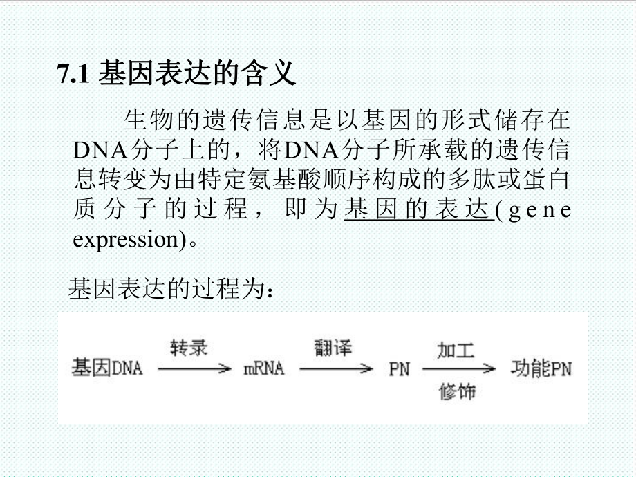 表格模板-基因工程7克隆基因的表达 精品.ppt_第2页