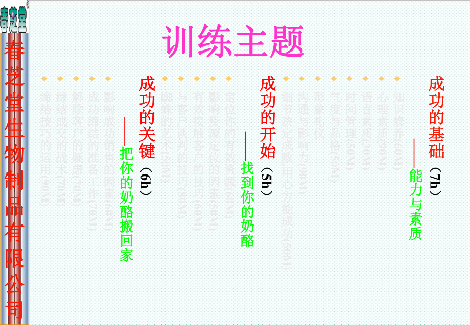 表格模板-春芝堂营销代表提升训练 精品.ppt_第2页