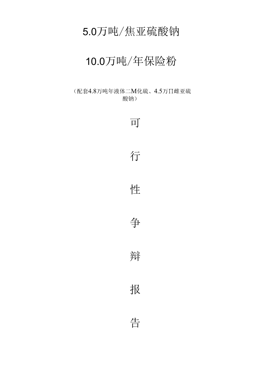 10万吨保险粉项目可行性研究报告.doc_第1页