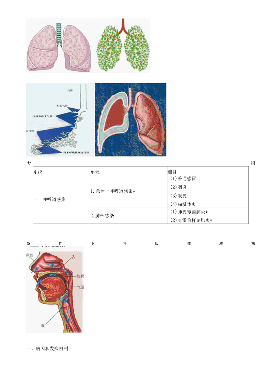 内科主治医师考试辅导专业实践能力第02章 呼吸系统.docx_第3页