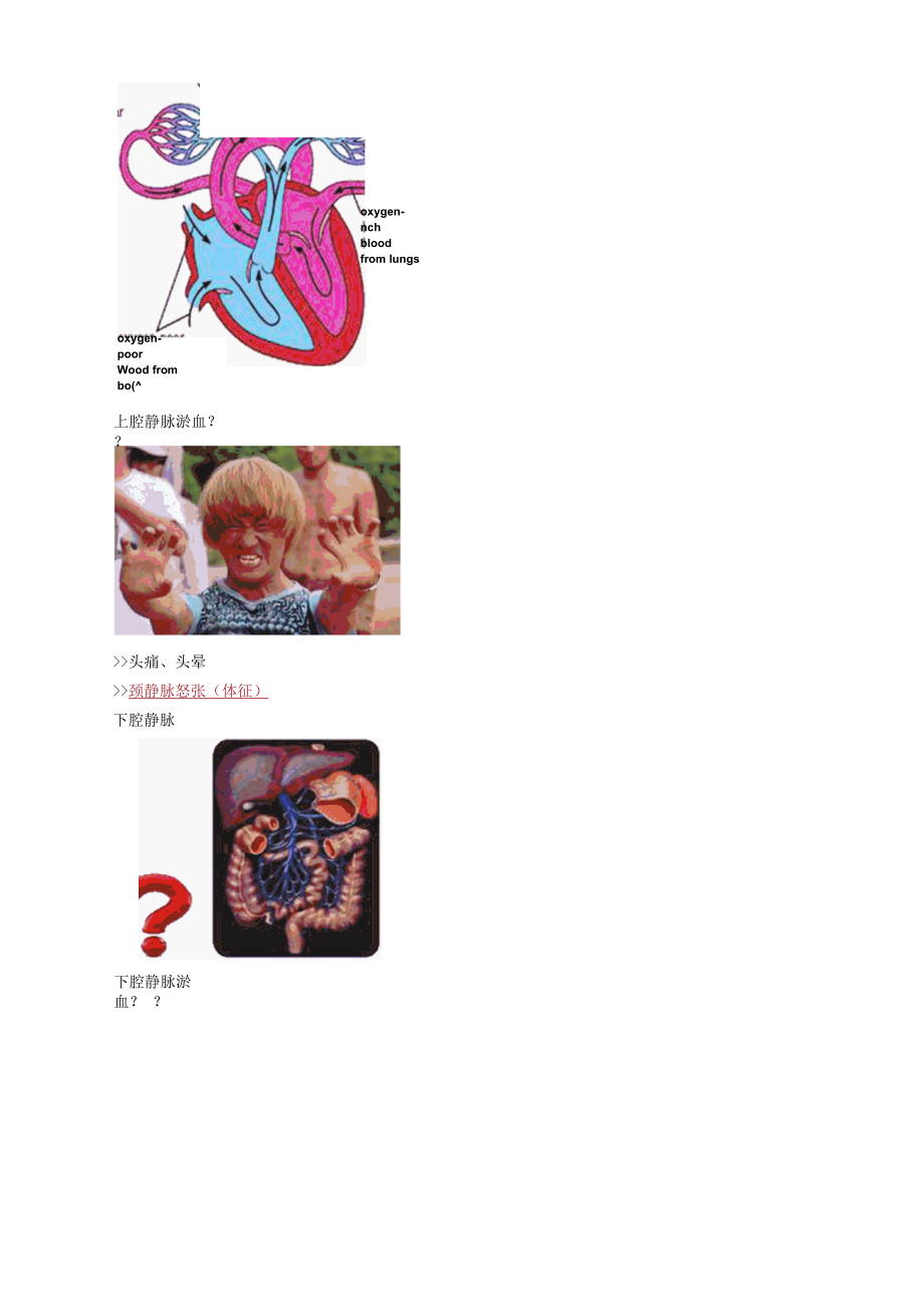 内科主治医师考试辅导专业实践能力第01章 循环系统.docx_第2页