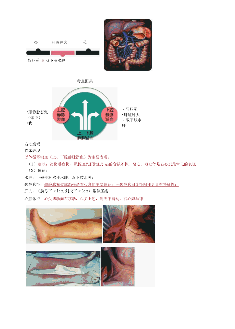 内科主治医师考试辅导专业实践能力第01章 循环系统.docx_第3页