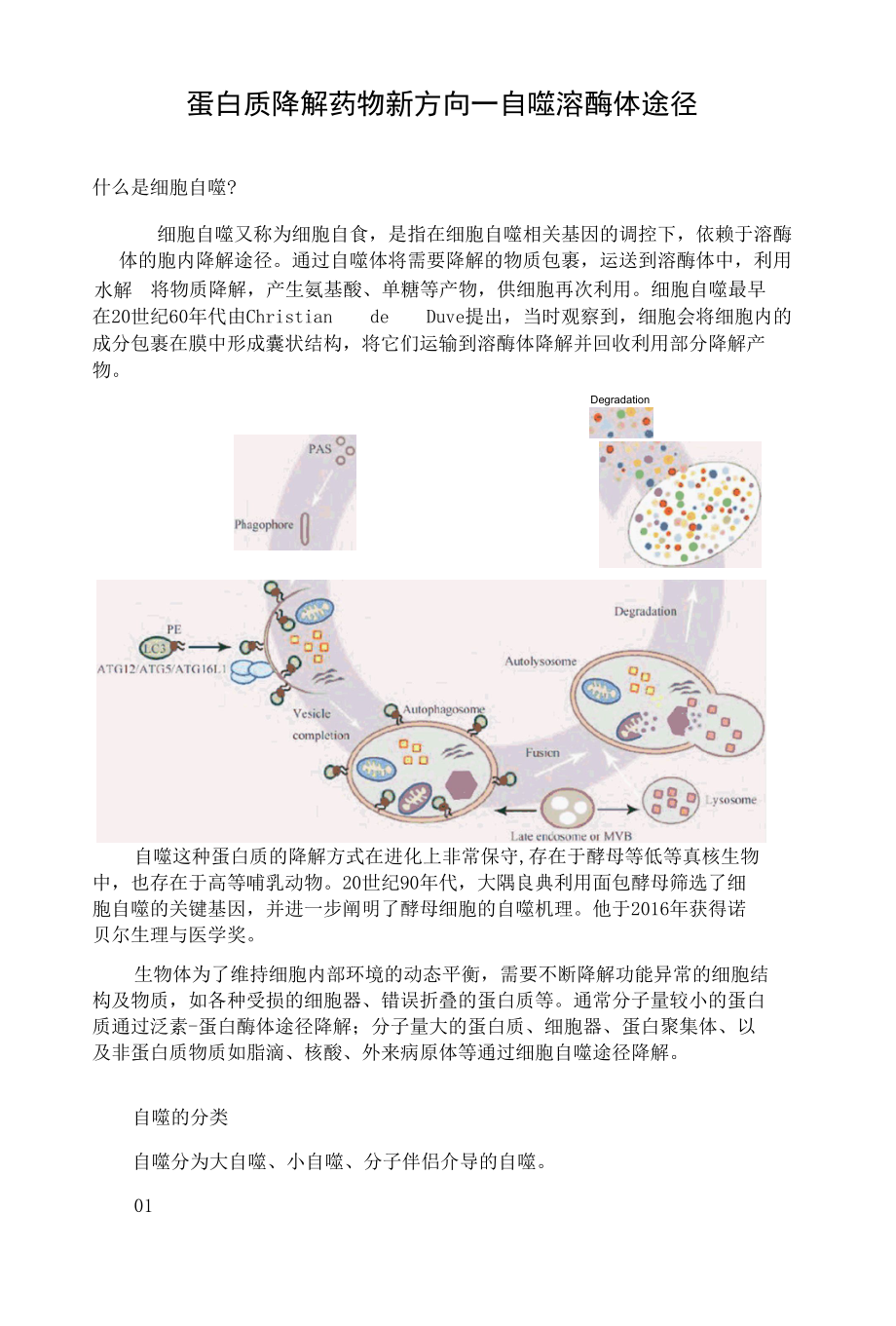 蛋白质降解药物新方向——自噬溶酶体途径.docx_第1页