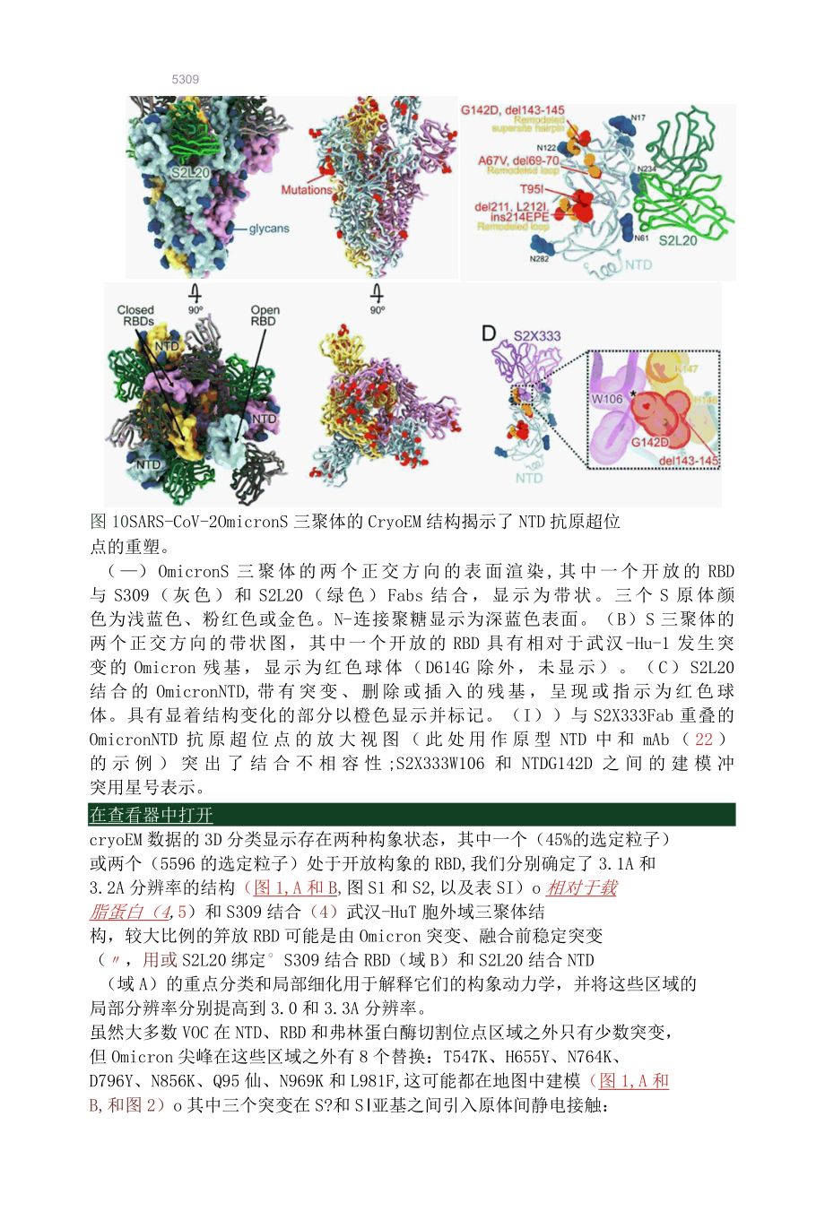 SARS-CoV-2 Omicron 免疫逃避和受体参与的结构基础.docx_第3页