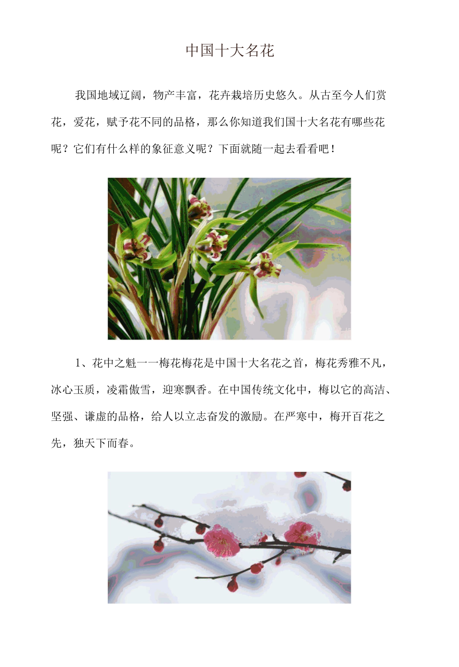 中国十大名花（介绍、寓意和精美图片）.docx_第1页