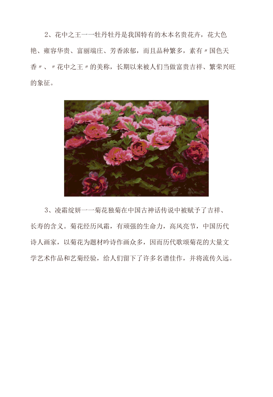 中国十大名花（介绍、寓意和精美图片）.docx_第2页