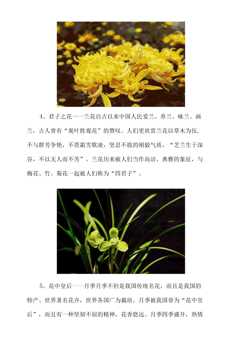 中国十大名花（介绍、寓意和精美图片）.docx_第3页