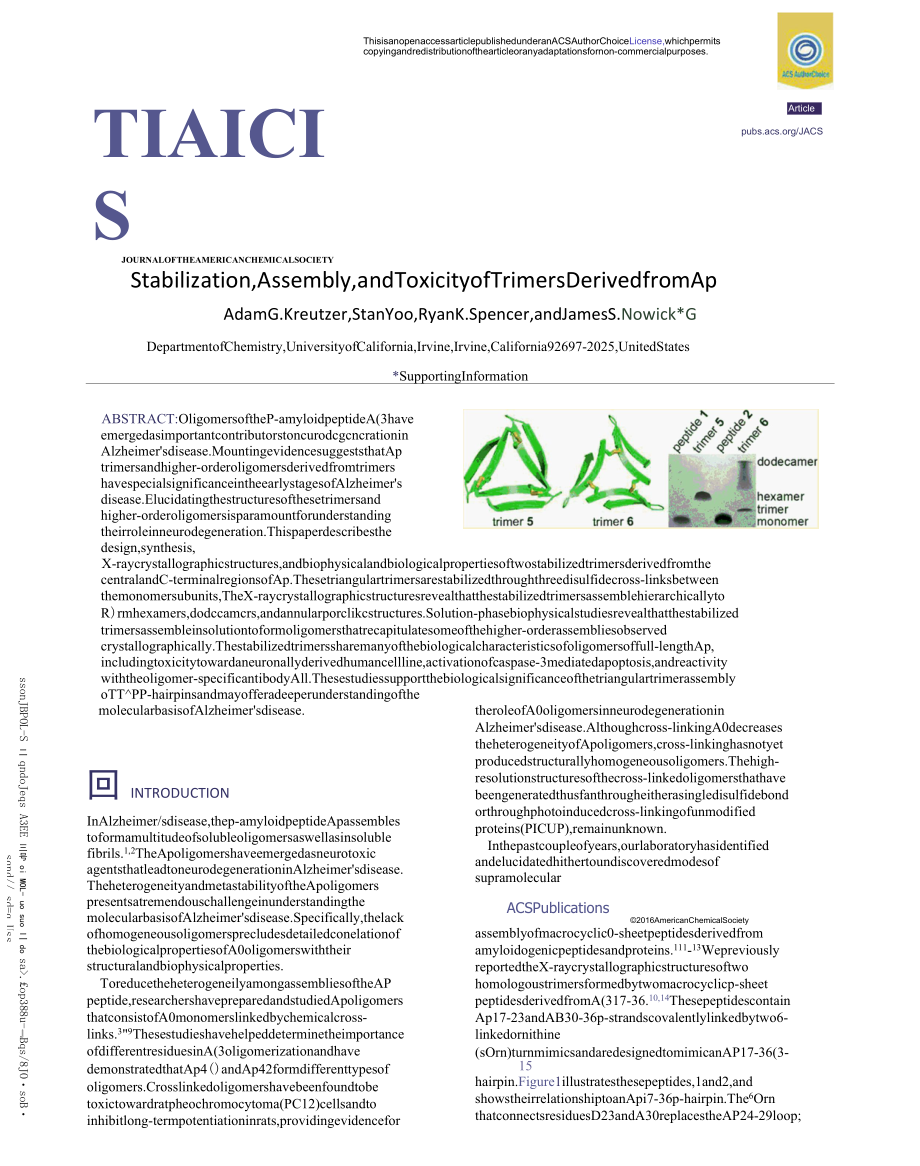 Stabilization, Assembly, and Toxicity of Trimers Derived from Aβ.docx_第1页